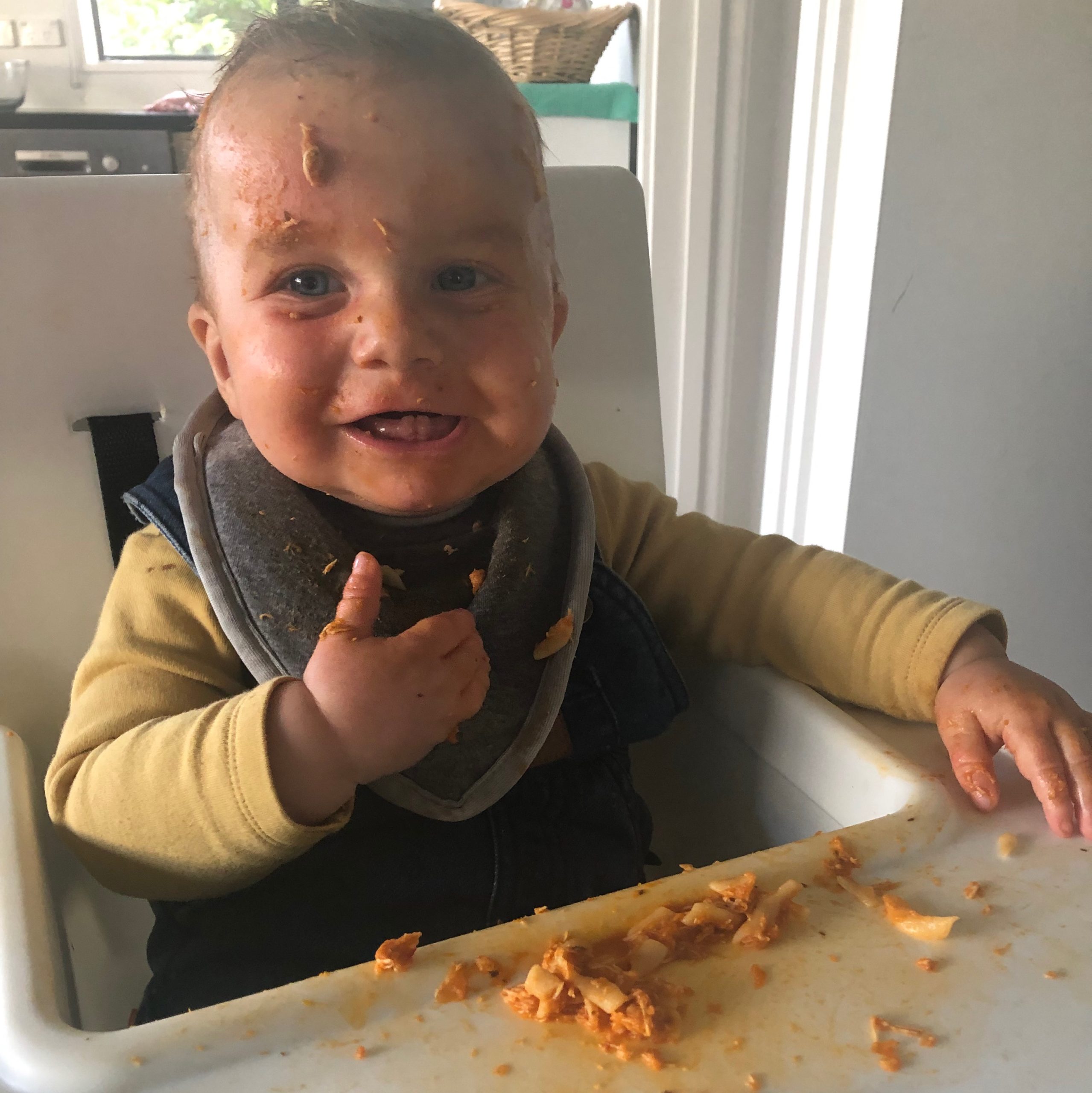 Finn C, 15 Months, Otago