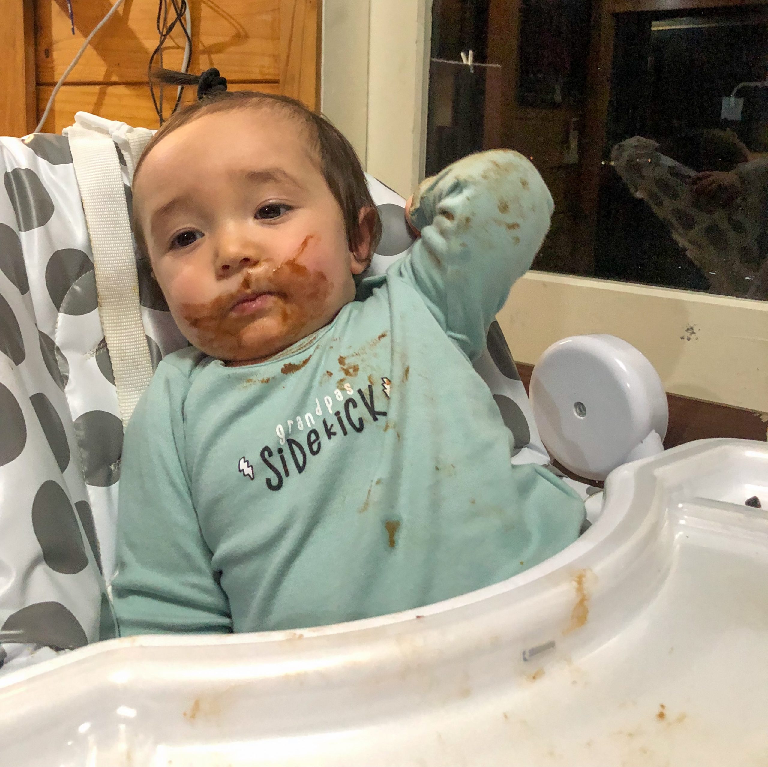 Carl Junior S, 12 months, Waikato