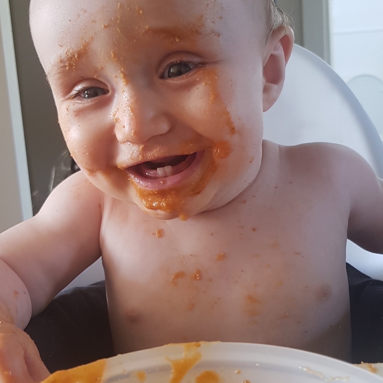 Arthur B, 12 months, Wellington